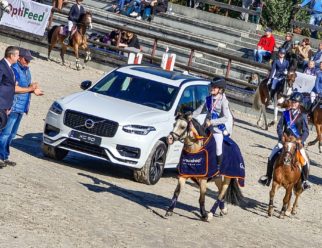 volvo w galopie